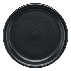 Fiesta Bistro Dinner Plate -Fiesta Shop 148020000