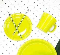 Fiesta Bistro Salad Plate -Fiesta Shop BSPW