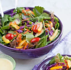 Fiesta Large Bistro Bowl -Fiesta Shop LargeBWEB