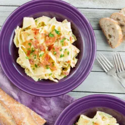 Fiesta Rim Soup Bowl 27 Fiesta Rim Soup Bowl -Fiesta Shop RimWEB