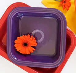 Fiesta Square Baker -Fiesta Shop SquareWEB2