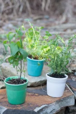 Fiesta Flower Pot Set 10 Fiesta Flower Pot Set -Fiesta Shop fiesta dinnerware flower pots meadow turquoise white 5