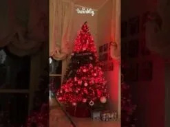 Twinkly Music Dongle USB Interface - Wifi - Gen II 9 Twinkly Music Dongle USB Interface - Wifi - Gen II -Fiesta Shop hqdefault 5 55