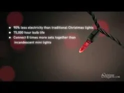 70 Light M5 Pure White-Red LED Christmas Lights -Fiesta Shop hqdefault 6 258