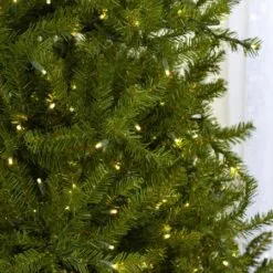 7.5' Indoor LED McKenzie Noble Fir Christmas Tree - Warm White -Fiesta Shop t it 75 1211 ww 2 crop