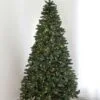 7.5' Indoor LED Oregon Grand Fir Christmas Tree - Warm White 2 7.5' Indoor LED Oregon Grand Fir Christmas Tree - Warm White -Fiesta Shop t it 75 1214 ww 1