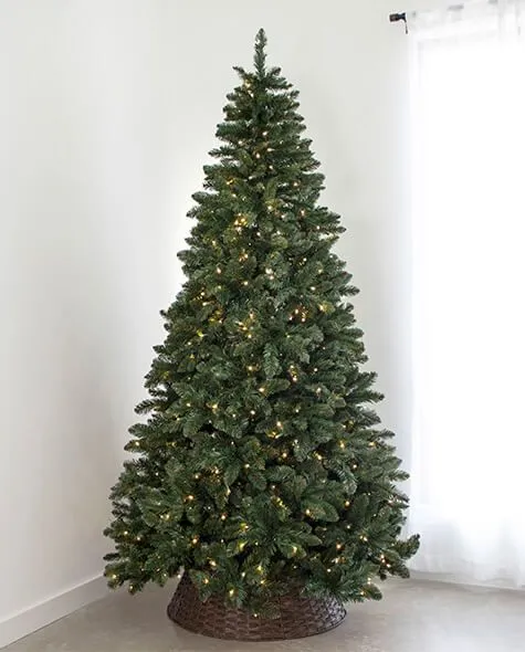 7.5' Indoor LED Oregon Grand Fir Christmas Tree - Warm White 3 7.5' Indoor LED Oregon Grand Fir Christmas Tree - Warm White