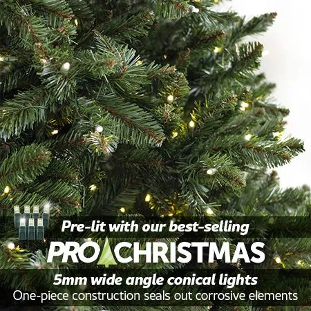 7.5' Indoor LED Oregon Grand Fir Christmas Tree - Warm White 4 7.5' Indoor LED Oregon Grand Fir Christmas Tree - Warm White - Image 2