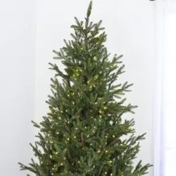 7.5' Indoor LED Upswept Norway Spruce Christmas Tree - Warm White 10 7.5' Indoor LED Upswept Norway Spruce Christmas Tree - Warm White -Fiesta Shop t it 75 1225 ww 2