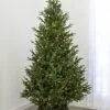 7.5' Indoor LED Upswept Norway Spruce Christmas Tree - Warm White 1 7.5' Indoor LED Upswept Norway Spruce Christmas Tree - Warm White -Fiesta Shop t it 75 1225 ww 1